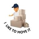 I like to move it